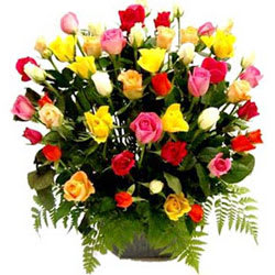 Mesmerizing Basket of Multicolored Roses