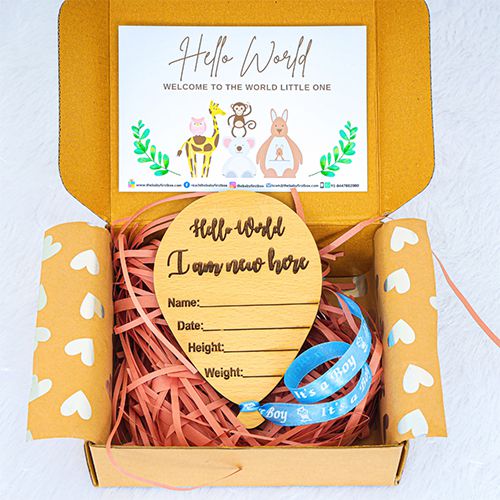 Exclusive Hello World Plaque for Newborn