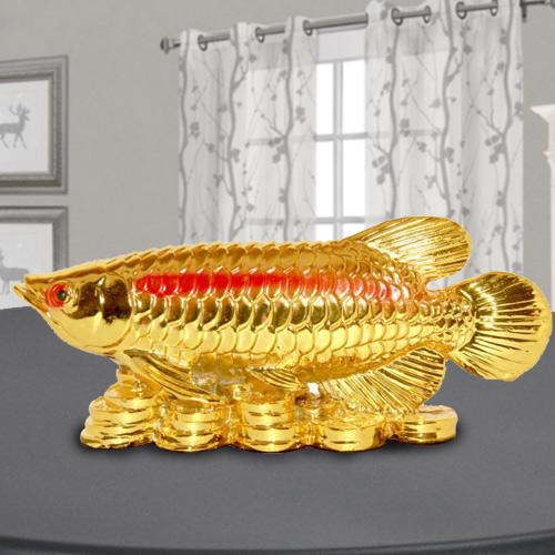 Wonderful Golden Arowana Fish
