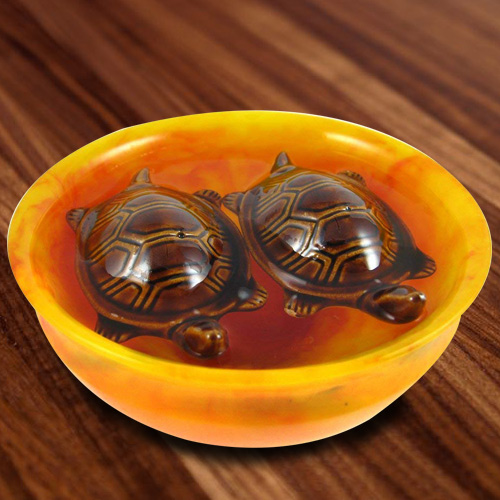 Exclusive Fengshui Bowl with  Tortoise
