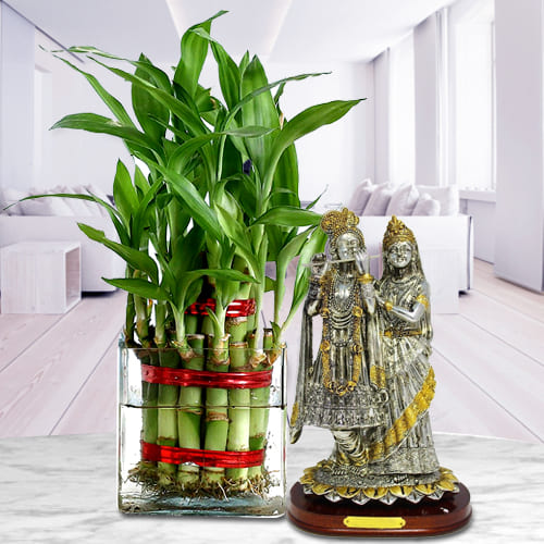 Eye-Catching 2 Layer Bamboo Plant in Glass Pot with Radha Krishna Idol