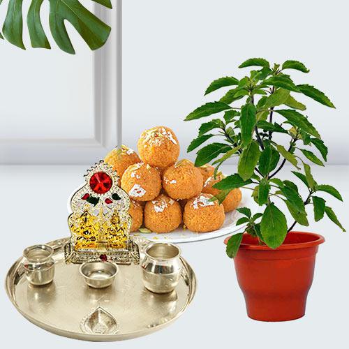 Classic Holy Basil Plant Pot with Festive Greetings