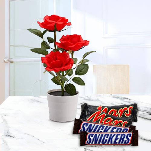 Delightful Gift of Red Rose Plant with Chocolates