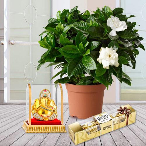 Fragrant Jasmine Planter with Ganesh Idol N Chocolates