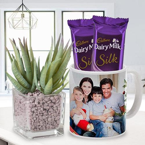 Blossoming Aloe Vera Plant with Coffee Mug N Chocolate