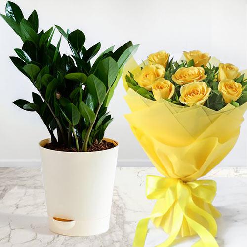 Enchanting Zamia Air Purifier Plant with Yellow Roses Bouquet