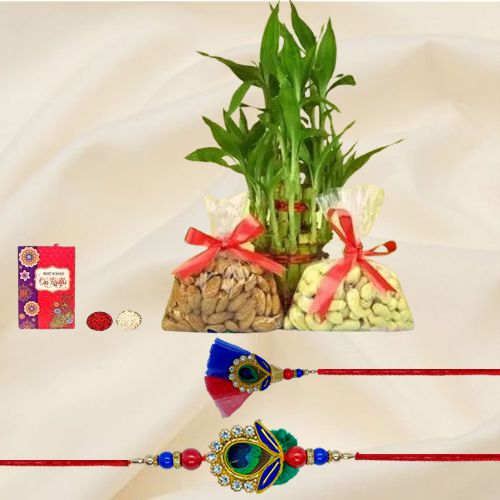 Attractive Bhai Rakhi with Dry Fruits n Bamboo Plant