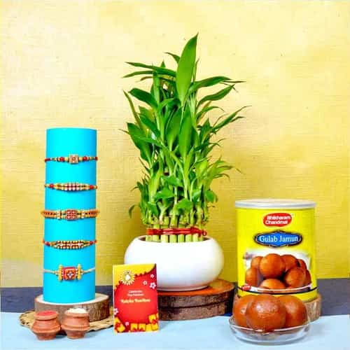 Lucky Bamboo Plant N Gulabi AD Rakhi