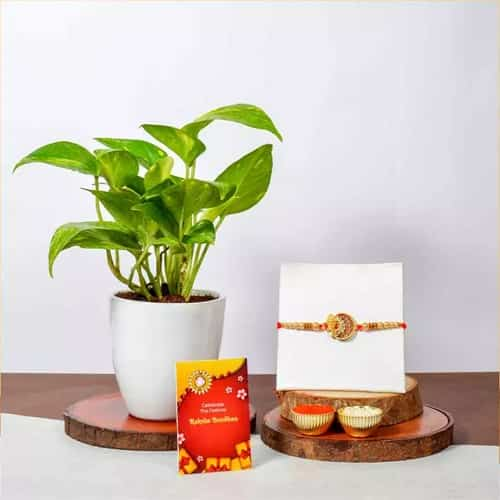 Attractive Ganesh Rakhi N Money Plant